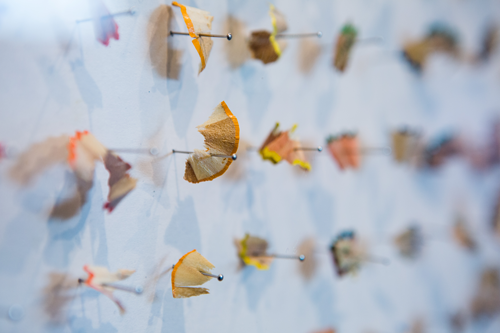 Pencil shavings pinned to the wall as part of A Dog in the Playground exhibition
